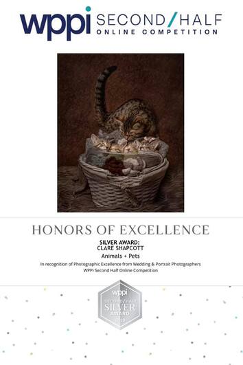 Honors of Excellence silver award showing basket of mother cat and kittens.
