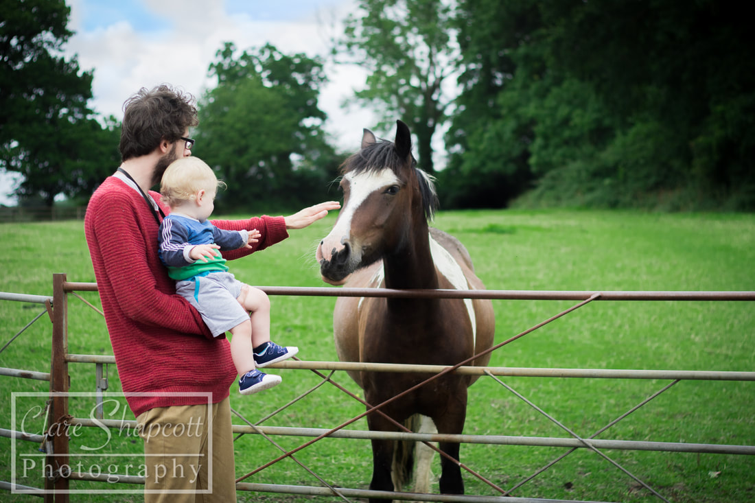 Day Out Photograph Father Son Horse Pet