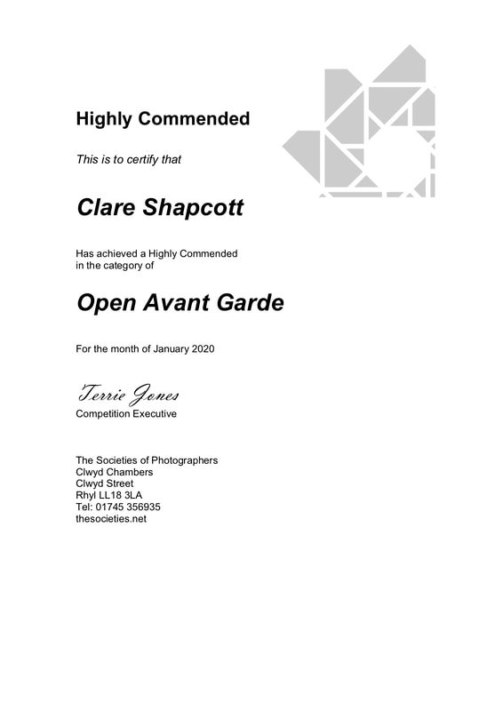 Second Highly commended award given to Clare Shapcott by the SWPP in the open avant garde category.