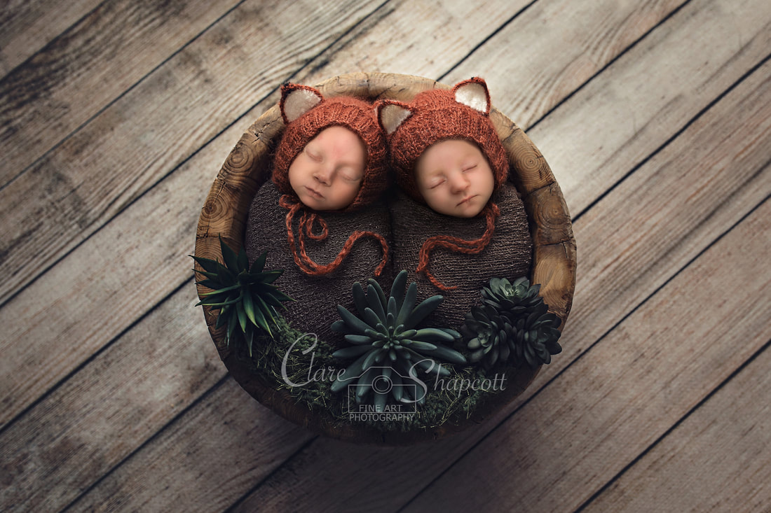 Contemporary photograph of newborn twins wrapped in grey material with fox hats on lying in wooden bowl with green plants beside them.