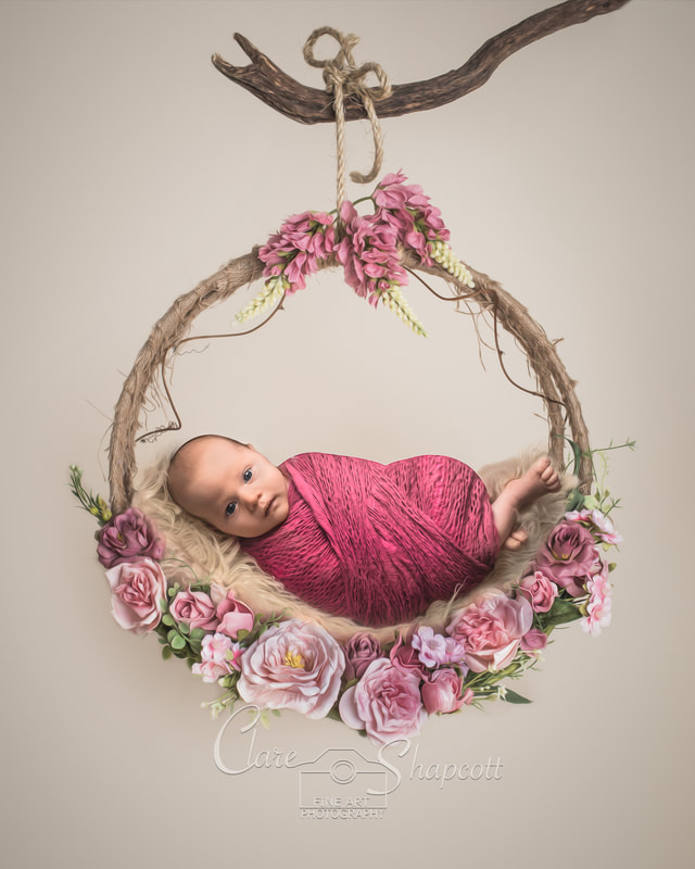 Clare Shapcott photography newborn photo baby on hanging hoop with white flowers on purple