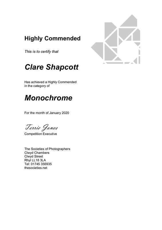 Highly commended award given to Clare Shapcott photography by SWPP in the monochrome category.