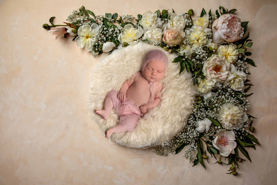 Professional newborn photograph from above of baby asleep on soft white circle cushion with an array of pink, yellow and white flowers covering the top right corner of the floor.