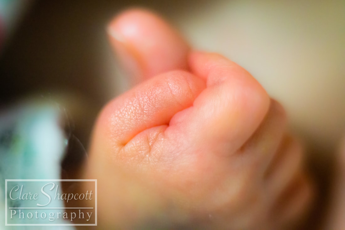 Professional Photograph of newborn baby's hand as a close up photo.